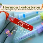 Hormon Kunci untuk Kesehatan Reproduksi