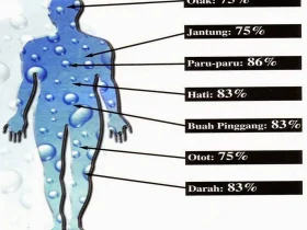 Manfaat Minum Air Hangat Kesehatan dalam Setiap Sip.