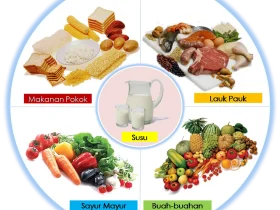 Menjaga Keseimbangan Nutrisi Harian Anda dengan Makanan Bergizi