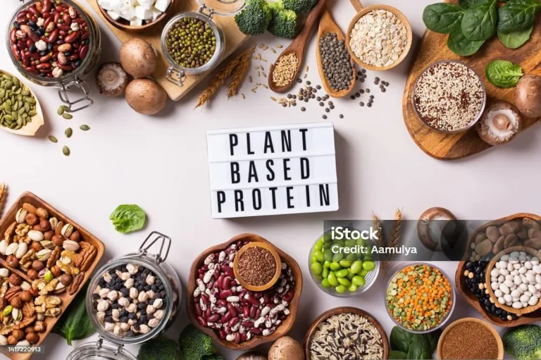 Protein Nabati: Pilihan Sehat untuk Gaya Hidup Anda