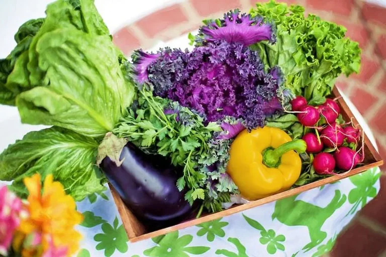 Rahasia Mengolah Sayuran agar Tetap Nutrisi dan Lezat